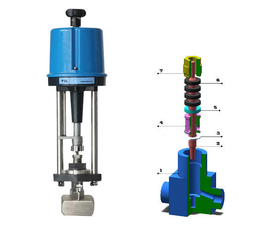 С�����{���y�Y���D