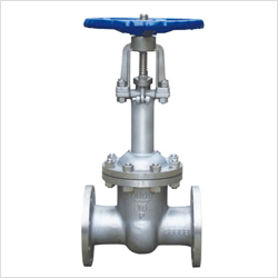 DZ41W手動(dòng)低溫閘閥